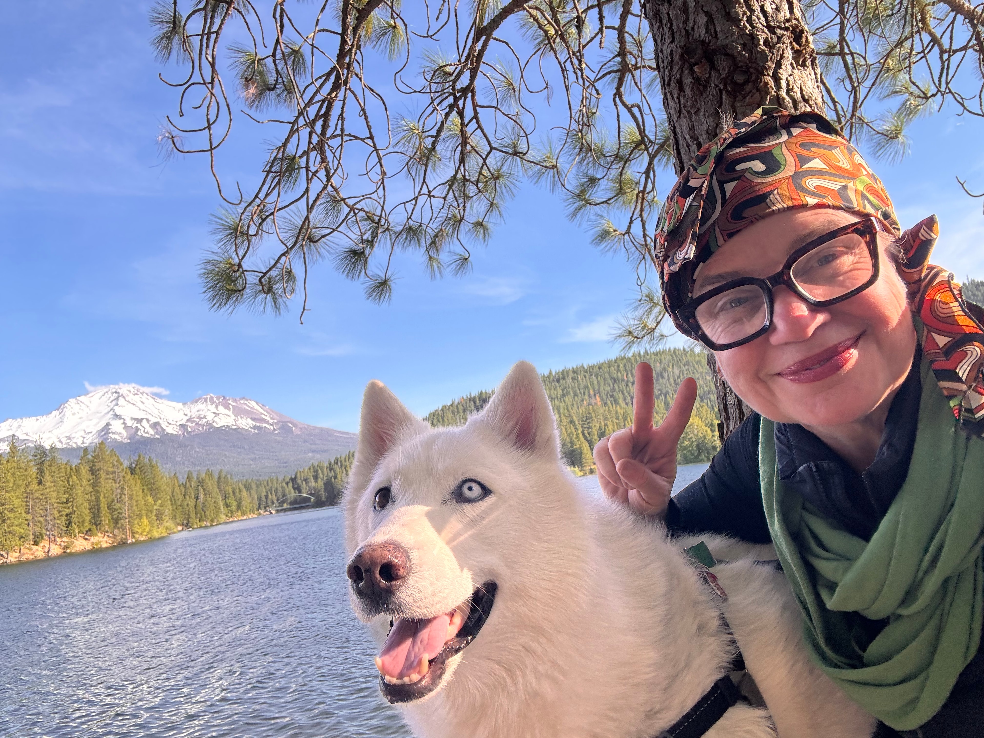 The Raven Tree community — neighbors, families, and nature lovers gathering together