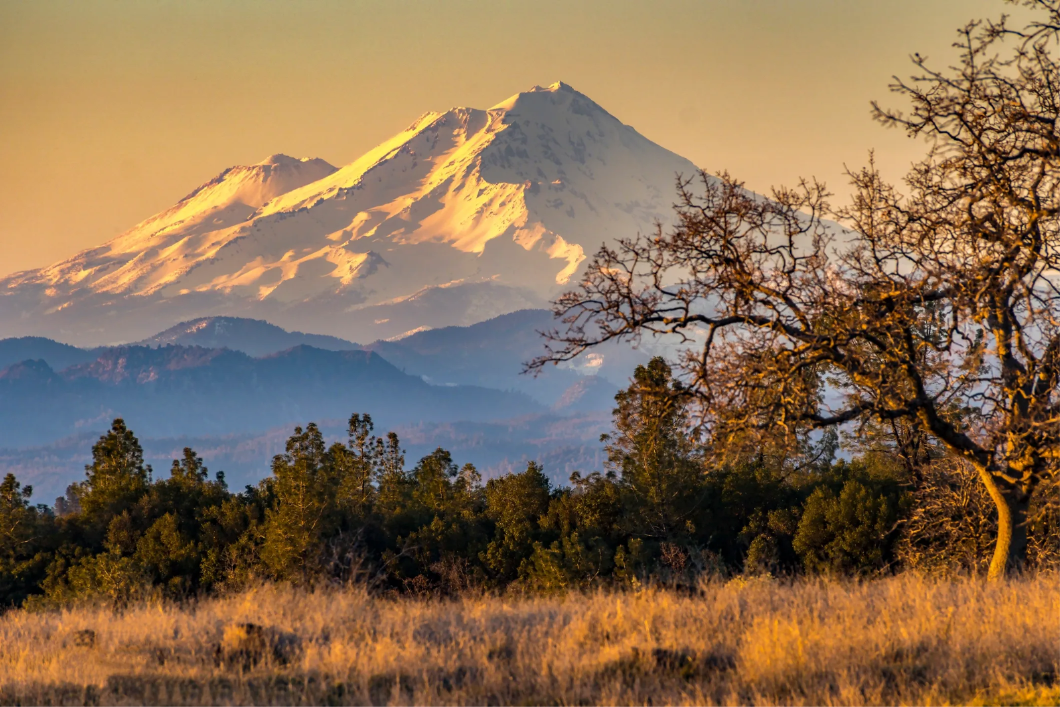 Raven Tree Shop — a welcoming place in Mt Shasta